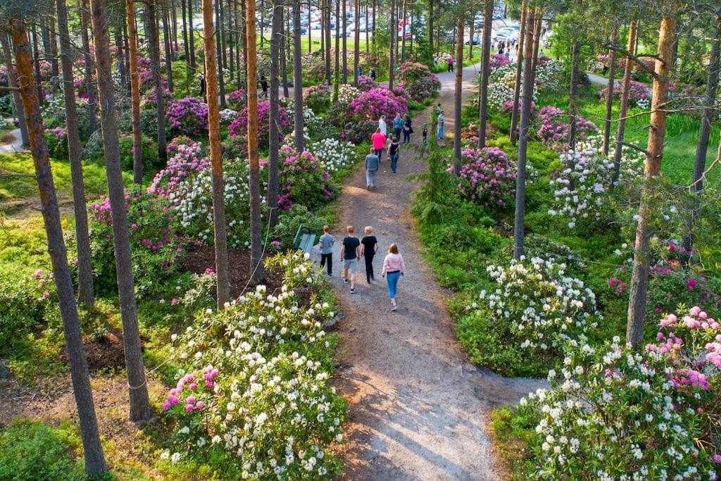 Apartment Valoisa Yksioe Parvekkeella